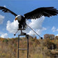 🔥 Sztuka ogrodowa🐦Dekoracja patio do ogrodu dla ptaków