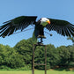 🔥 Sztuka ogrodowa🐦Dekoracja patio do ogrodu dla ptaków