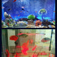 🐠💡Kolorowe lampki bąbelkowe LED, klasa ochrony IP68, przeznaczone do akwariów