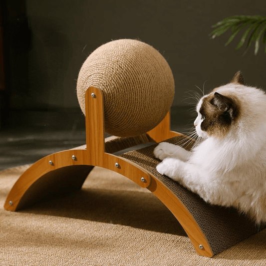 🐱 NOWOŚĆ 2026 | Sisalowa piłka do drapania dla kotów | Chroni meble 🛋️