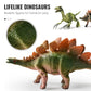 🦖 Edukacyjny i rozrywkowy zestaw z dinozaurami