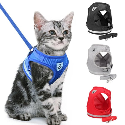 🐱🌙✨ Regulowany i oddychający nosidło dla kota z odblaskowym paskiem – sprawia, że spacer jest bezpieczniejszy i wygodniejszy, a także zapewnia lepszą widoczność kota w nocy 🐾