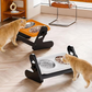 🐶🐱 Ergonomiczna miska dla psów i kotów z regulowaną wysokością | Wygodniejsze karmienie, zdrowsza postawa