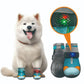 🐶✨ Świecące buty dla psów z diodami LED – przewiewne, antypoślizgowe i wygodne