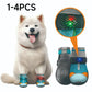 🐶✨ Świecące buty dla psów z diodami LED – przewiewne, antypoślizgowe i wygodne