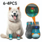 🐶✨ Świecące buty dla psów z diodami LED – przewiewne, antypoślizgowe i wygodne