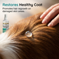 🐶🐱💧 Spray do pielęgnacji ran i skóry dla psów i kotów - 100 ml, łagodna pielęgnacja i wsparcie regeneracji