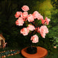 ⏳Forever Rose Tree Lights, Wieczna Miłość