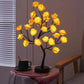 ⏳Forever Rose Tree Lights, Wieczna Miłość